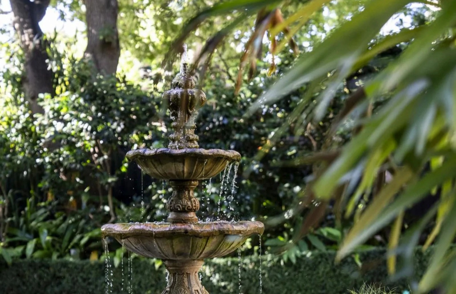 Australia's top 10 richest suburbs(2024)