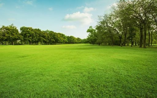 201912309eb0e0db-7a32-4f45-ac79-b11b256bf94d 201912309eb0e0db-7a32-4f45-ac79-b11b256bf94d